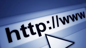 internet portalı