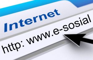 internet portalı
